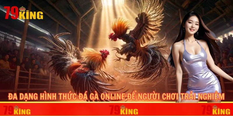 Đa dạng hình thức đá gà online để người chơi trải nghiệm