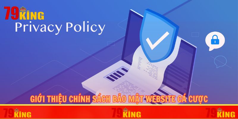 Giới thiệu chính sách bảo mật website cá cược