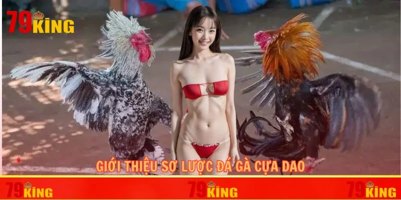 Giới thiệu sơ lược đá gà cựa dao