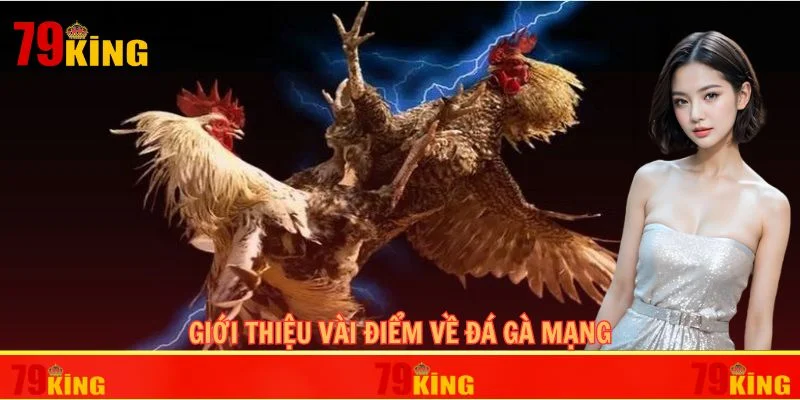 Giới thiệu vài điểm về đá gà mạng