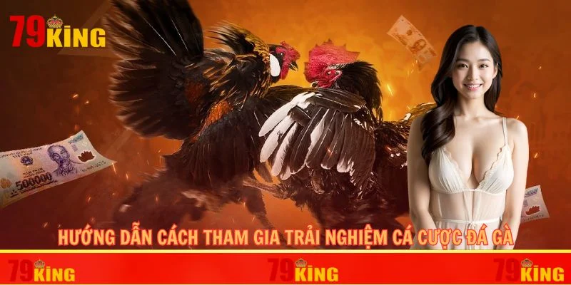 Hướng dẫn cách tham gia trải nghiệm cá cược đá gà