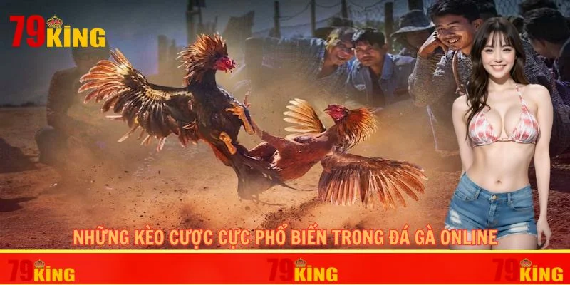 Những kèo cược cực phổ biến trong đá gà online