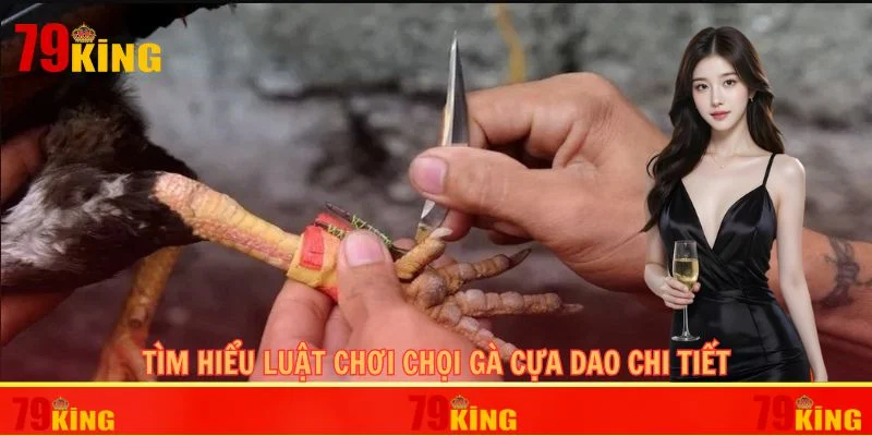 Tìm hiểu luật chơi chọi gà cựa dao chi tiết